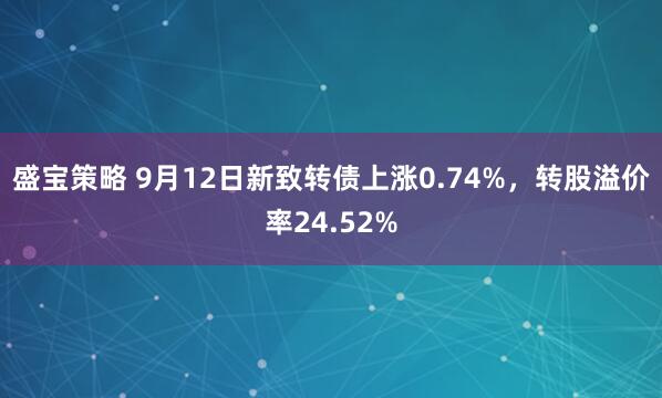 盛宝策略 9月12日新致转债上涨0.74%，转股溢价率24.52%