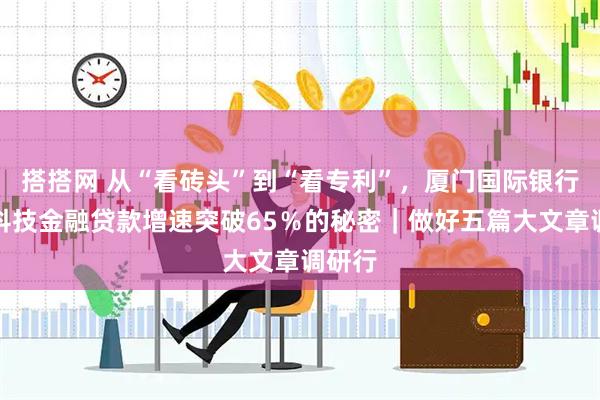 搭搭网 从“看砖头”到“看专利”，厦门国际银行省内科技金融贷款增速突破65％的秘密｜做好五篇大文章调研行