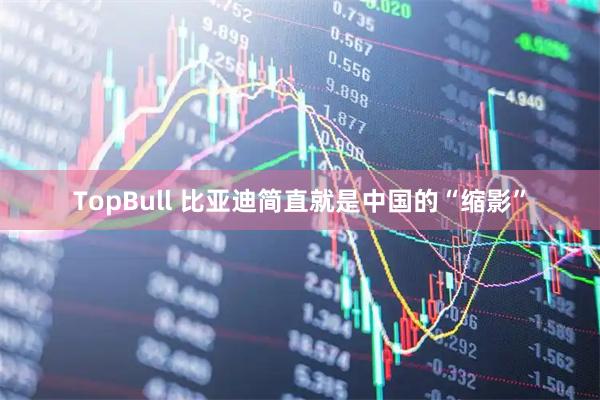 TopBull 比亚迪简直就是中国的“缩影”
