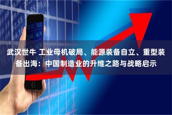武汉世牛 工业母机破局、能源装备自立、重型装备出海：中国制造业的升维之路与战略启示